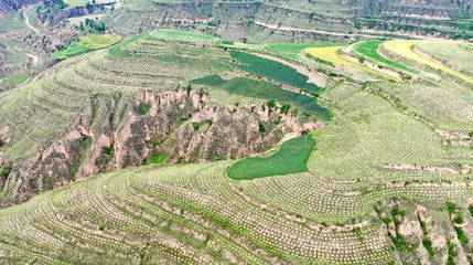 庆城县林草局荣获“全国绿化模范单位”荣誉称号