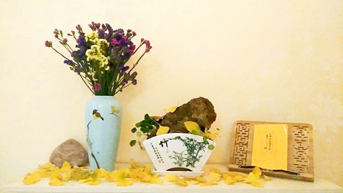 汉上采风记 初冬汉中的温馨与树木经营